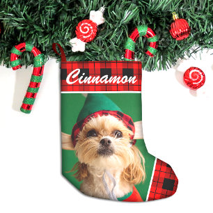 Cute Pet Photo Namn Play Liten Julstrumpa