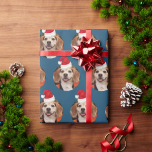 Cute Pet Photo Santa Hats jul Blue Presentpapper
