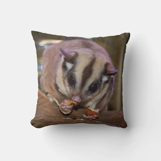 Cute Pet Sugar Glider EEG Kudde (Framsida)