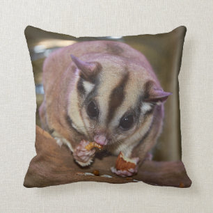 Cute Pet Sugar Glider EEG Kudde