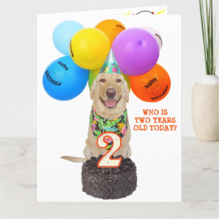 Cute Pet två års födelsedagskort Kort