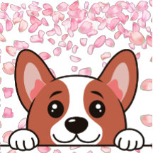 Cute - Pet-utskrivet blanket