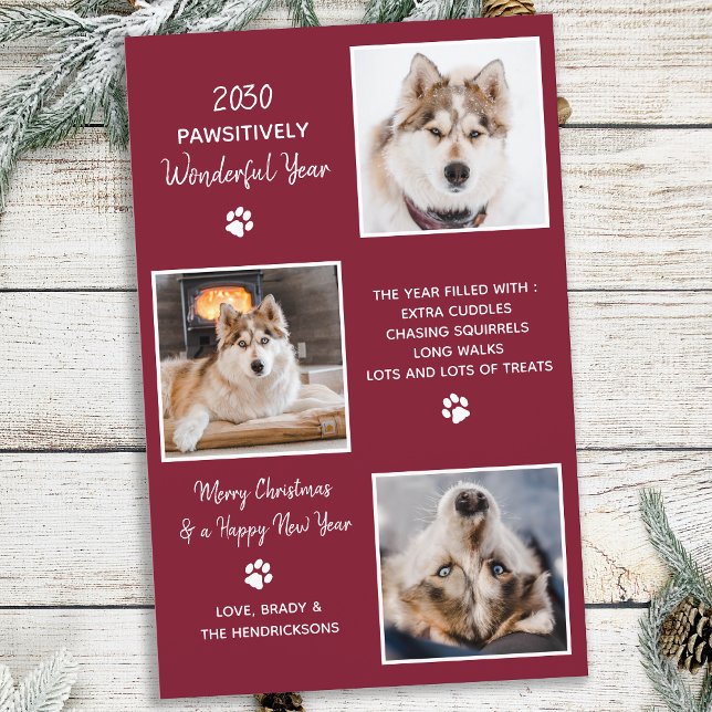 Cute Pet Year in Review Anpassningsbar Hund 3 Phot (Skapare uppladdad)