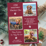 Cute Pet Year in Review Red Hund Photo Collage Julkort<br><div class="desc">Vi presenterar vår senaste insamling av helgdagskort, perfekt för djur älskare och ägare av sällskapsdjur! Våra "fantastiskt bra år"-kort visar hårigets familjemedlemmar på ett sött, modernt och roligt sätt. De här korten är snyggt och festande och innehåller en fotosamling av dina husdjur under hela året. Våra kort är designade för...</div>