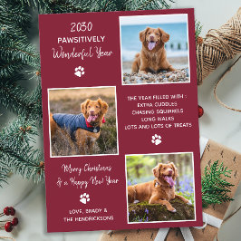 Cute Pet Year in Review Red Hund Photo Collage Julkort