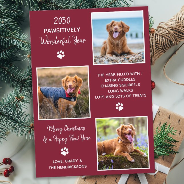 Cute Pet Year in Review Red Hund Photo Collage Julkort (Skapare uppladdad)