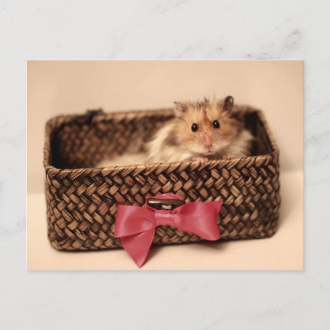 Cute PetL0ve-vykort Vykort (Framsida)