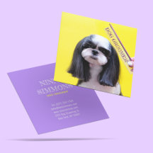 Cute Pets Grooming Care Puppy Hundar