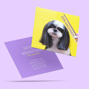 Cute Pets Grooming Care Puppy Hundar Fyrkantigt Visitkort