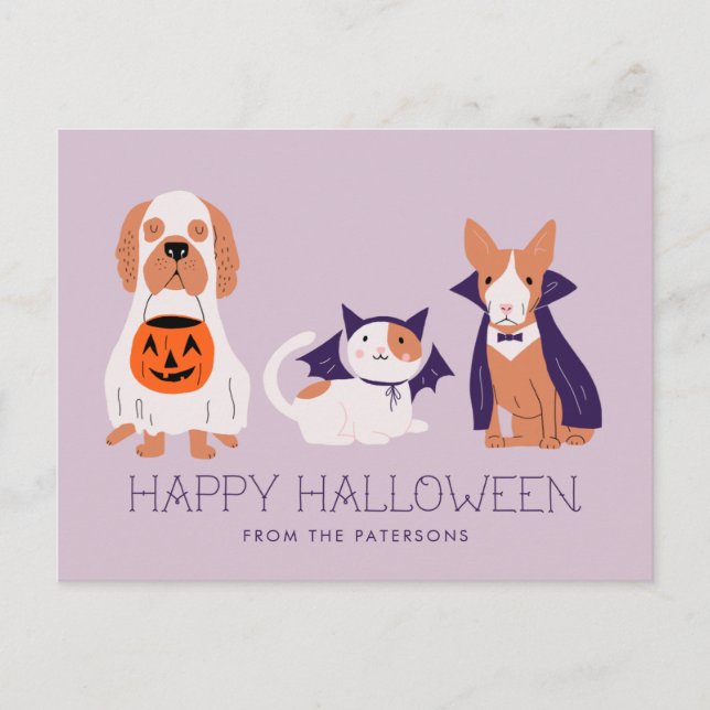 Cute Pets i Costume Happy halloween Helg Vykort (Framsida)
