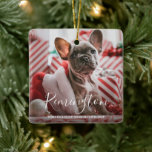 Cute Photo Puppy Hund Första jul Julgransprydnad Keramik<br><div class="desc">Klar julprydnad med två foton av din hund eller katt och elegant. På framsidan finns ett vitt handskriftsformat för ditt husdjurs namn tillsammans med din personlig Julhälsningar. Baksidan har det andra bild med året. Den här prydnaden gör perfekten till dina vänner och din familj.</div>