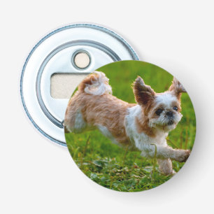 Cute Photo Running Shih Tzu Hund Flasköppnare