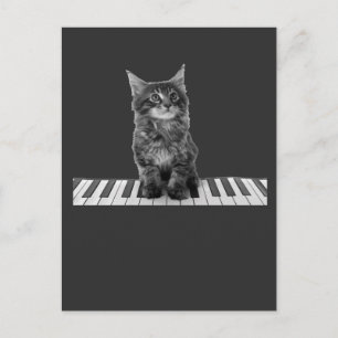 Cute Piano Cat Pianist Tangentbord Player Vykort