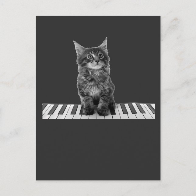Cute Piano Cat Pianist Tangentbord Player Vykort (Framsida)