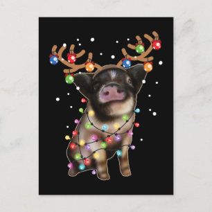 Cute Piggy, Gris Älskare, Helgdag-gåva Vykort