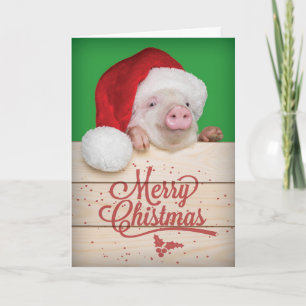 Cute Piggy Pudding jul Gris i Santa Hat Helgkort