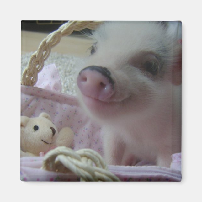 Cute Piglet Magnet (Framsidan)