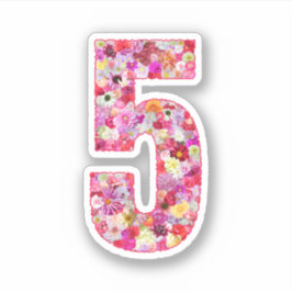 Cute Pink Decorative Botanical Floral Number 5 Klistermärken