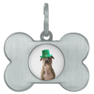 Cute Pit Bull Dog Hat St. Patrick's Day Namnbricka Husdjur
