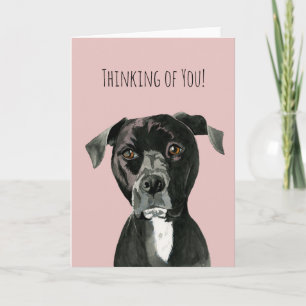 Cute Pit Bull Terrier Hund Att tänka på dig Kort