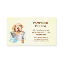 Cute Pit Bull Terrier Pet Groomer Spa Möte