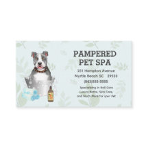 Cute Pit Bull Terrier Pet Groomer Spa Möte