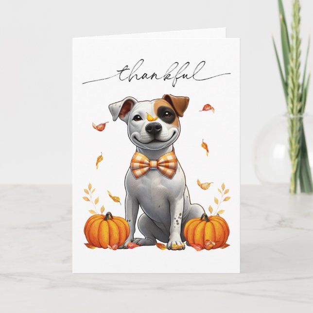 Cute Pit Bull Thankful Fall Pumpkins Kort (Framsida)