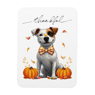 Cute Pit Bull Thankful Fall Pumpkins Magnet