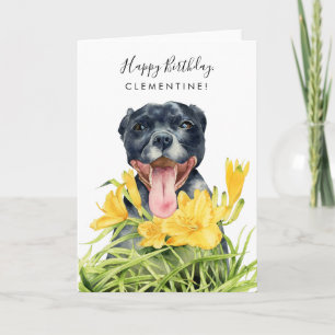 Cute Pitbull Hund Gult Blommigt Garden Birthday Kort