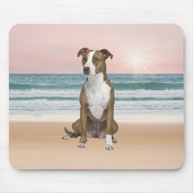Cute Pitbull Sitta på persikor med solnedgång Musmatta (Framsidan)
