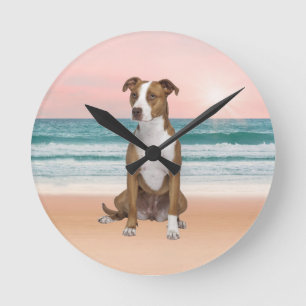 Cute Pitbull Sitta på persikor med solnedgång Rund Klocka