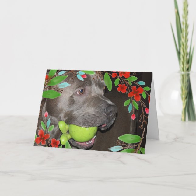 Cute Pitbull Terrier med rödblomma Ram Kort (Framsida)