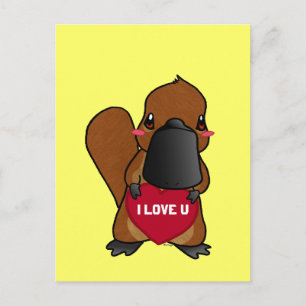 Cute Platypus Vykort