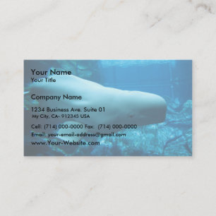 Cute Play Beluga Whale i Aquarium i Georgien Visitkort