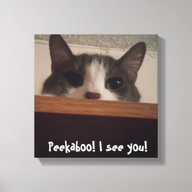 Cute Played Kattunge Bild Wrapped Canvas (Framsida)