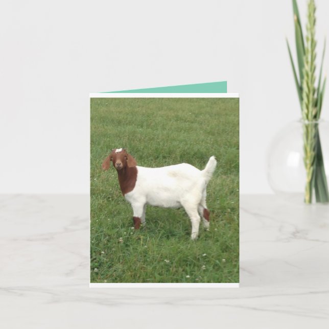 Cute plocka mig-upp-anteckningskort kort (Framsida)