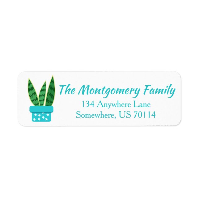 Cute Pocculated Snake Plant & White Stars Returadress Etikett (Framsidan)