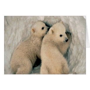 Cute Polar björn Hälsningskort