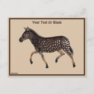 Cute Polka Dot Zebra Vykort