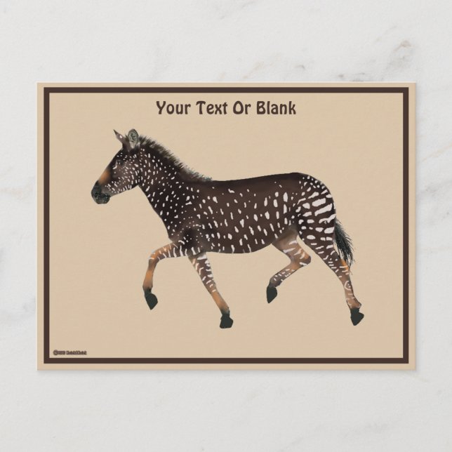 Cute Polka Dot Zebra Vykort (Framsida)