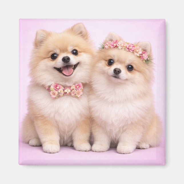 Cute Pomeranian Couple Valentine Illustration  Magnet (Framsidan)