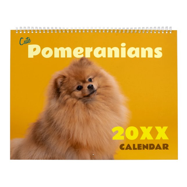 Cute Pomeranians Calendar 2026 Dogs Kalender (Omslag)