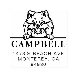 Cute Pommern Anpassningsbar Hund Adress Frimärke Självfärgande Stämpel