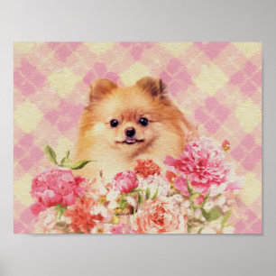 Cute Pommern German Spitz med blommor Poster