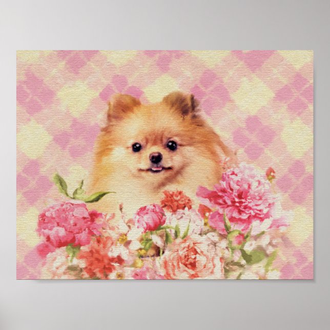 Cute Pommern German Spitz med blommor Poster (Framsidan)
