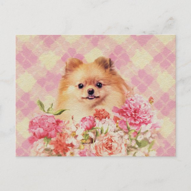 Cute Pommern German Spitz med blommor Vykort (Framsida)