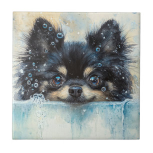 Cute Pommern-Hund i Bathtub Kakelplatta