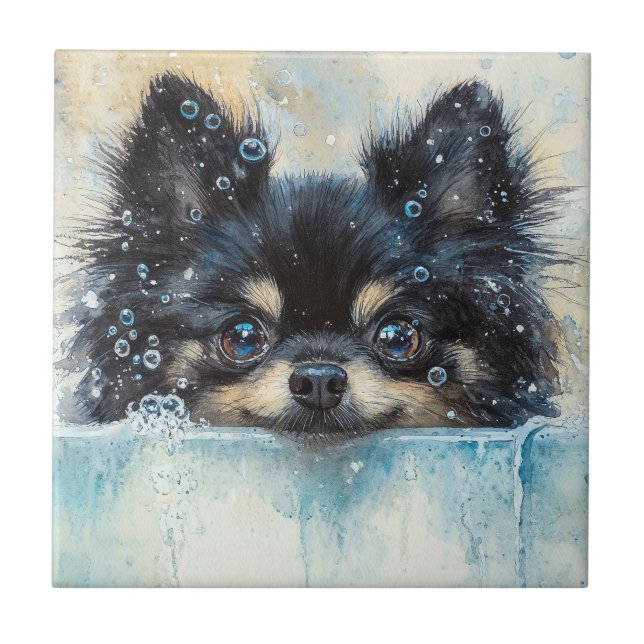Cute Pommern-Hund i Bathtub Kakelplatta (Framsidan)