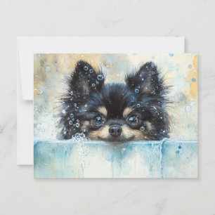 Cute Pommern-Hund i Bathtub Vykort