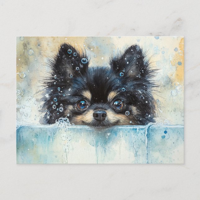 Cute Pommern-Hund i Bathtub Vykort (Framsida)